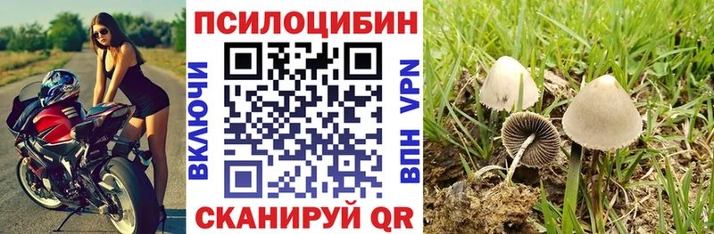 Псилоцибиновые грибы Magic Shrooms  Евпатория 
